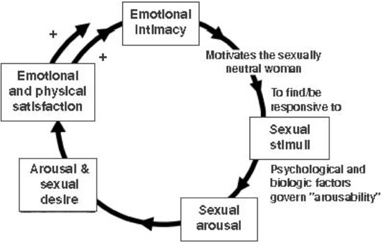 Sexual desire cycle starting with emotional intimacy then sexual stimuli , then sexual arousal, leading into arousal & sexual desire, ending with emotional and physical satisfaction. The cycle thus repeats.
