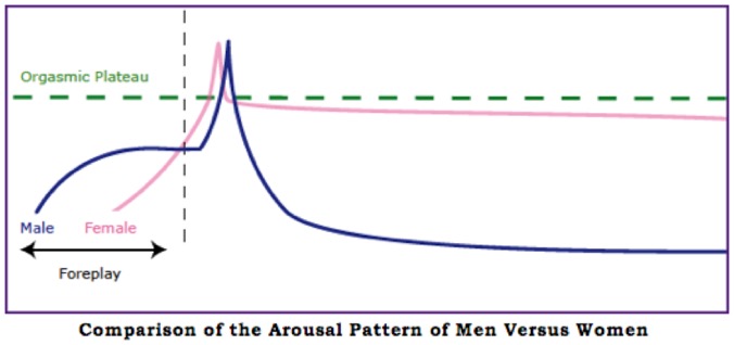 Comparison of arousal pattern of males and females. Males get more excited during foreplay, and their excitement drops drastically following orgasm. Females get excited slowly during foreplay but remain near the orgasmic plateau following climax. 