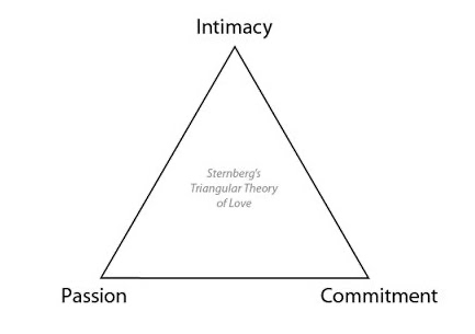 A triangle with intimacy, commitment, and passion on the corners and "Steinberg's Triangular Theory of Love" in the middle