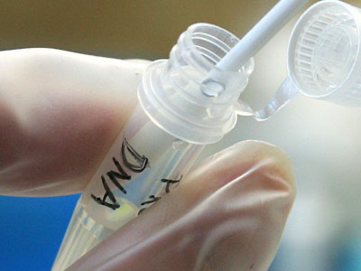 Vial labeled "DNA" being held up with a gloved hand. A swab sits inside the vial. 