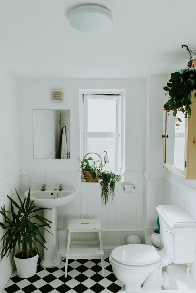 A bathroom with plants.