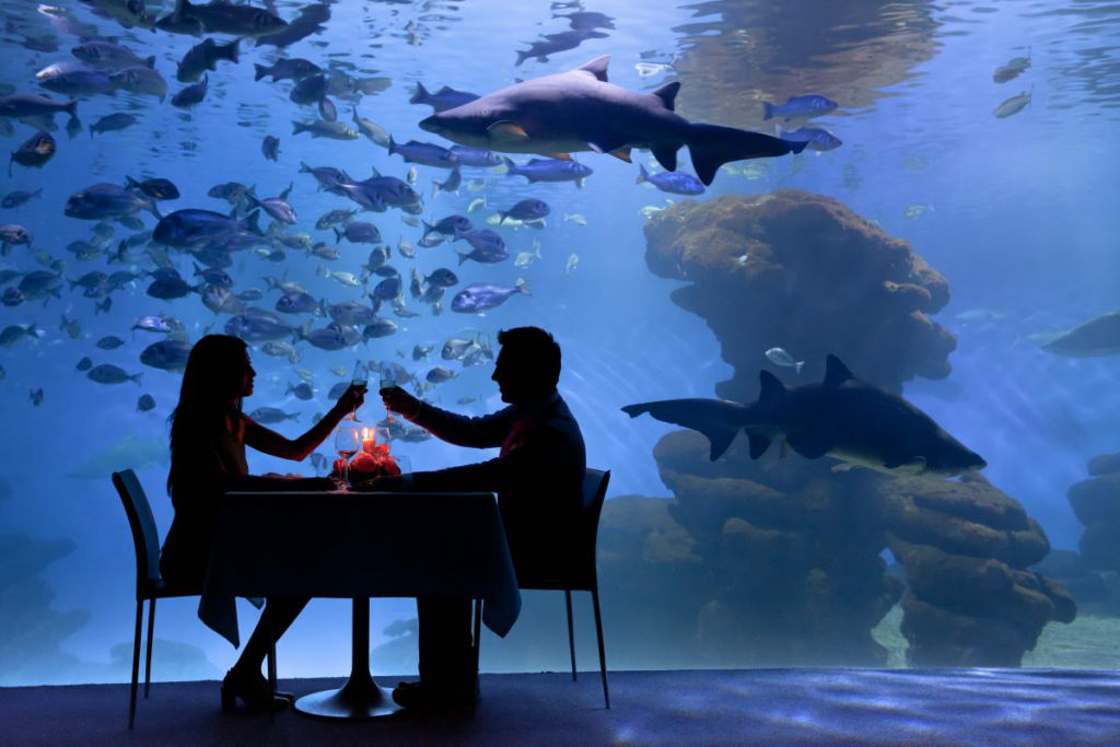 Two people dining in an aquarium. 