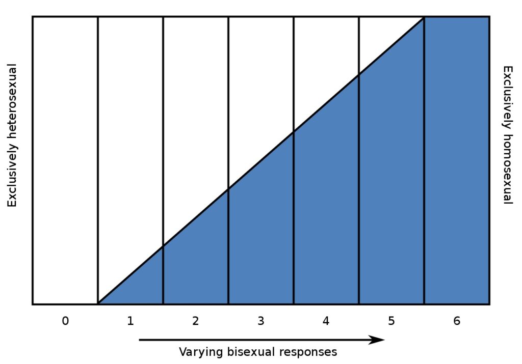 A scale with zero to the left and six to the right. Its measures include exclusively heterosexual and exclusively homosexual on the vertical sides. On the horizontal measure it records varying bisexual responses.