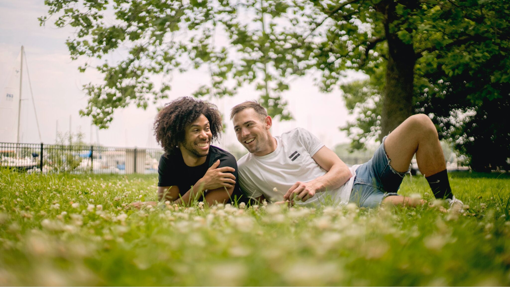 Two men next to each other in a field of flowers in daytime