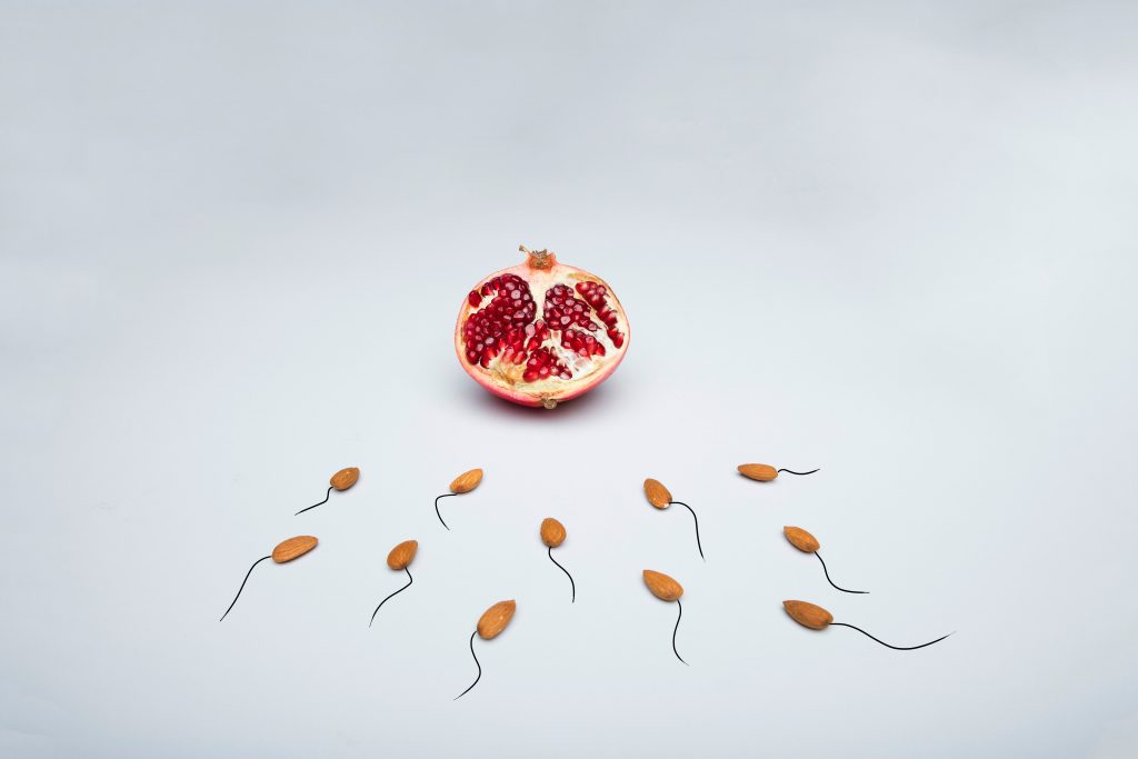 Almonds with black tails, shaped like sperm, going toward a half-open pomegranate.