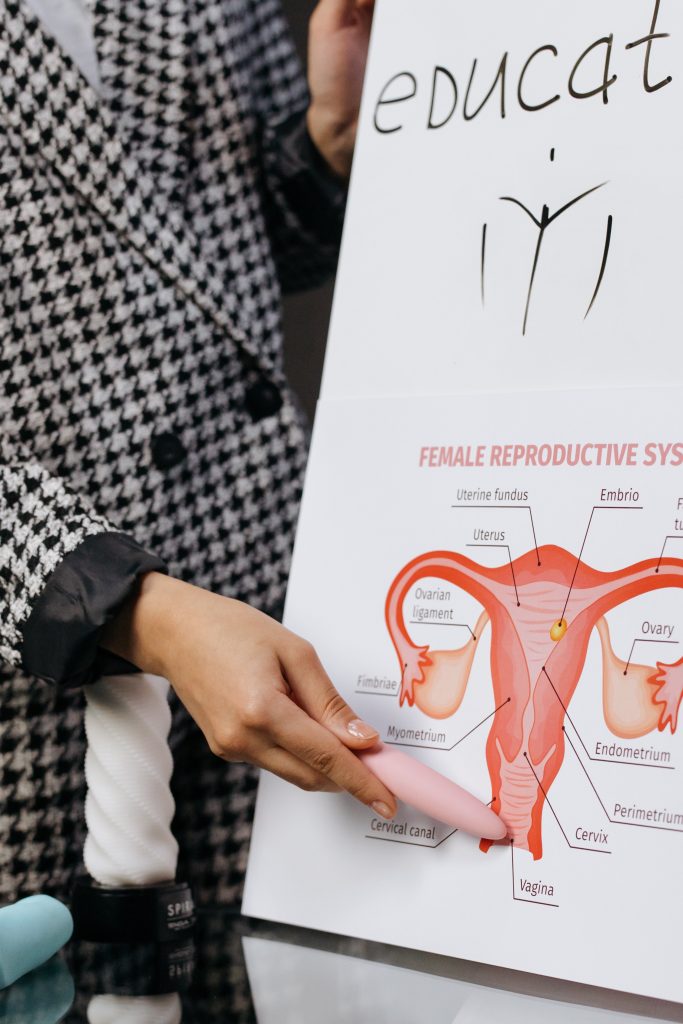 A person pointing, with a vibrator, to a diagram of the female reproductive system.