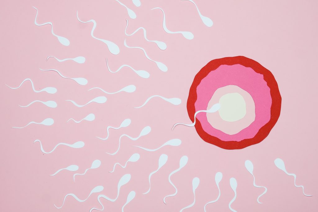 A bunch of sperm swimming toward a pink and red circle.