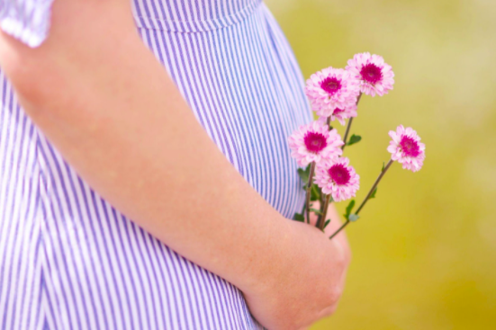 A pregnant person wearing a white and blue striped dress holding five pink flowers near their belly against a yellow-green background.
