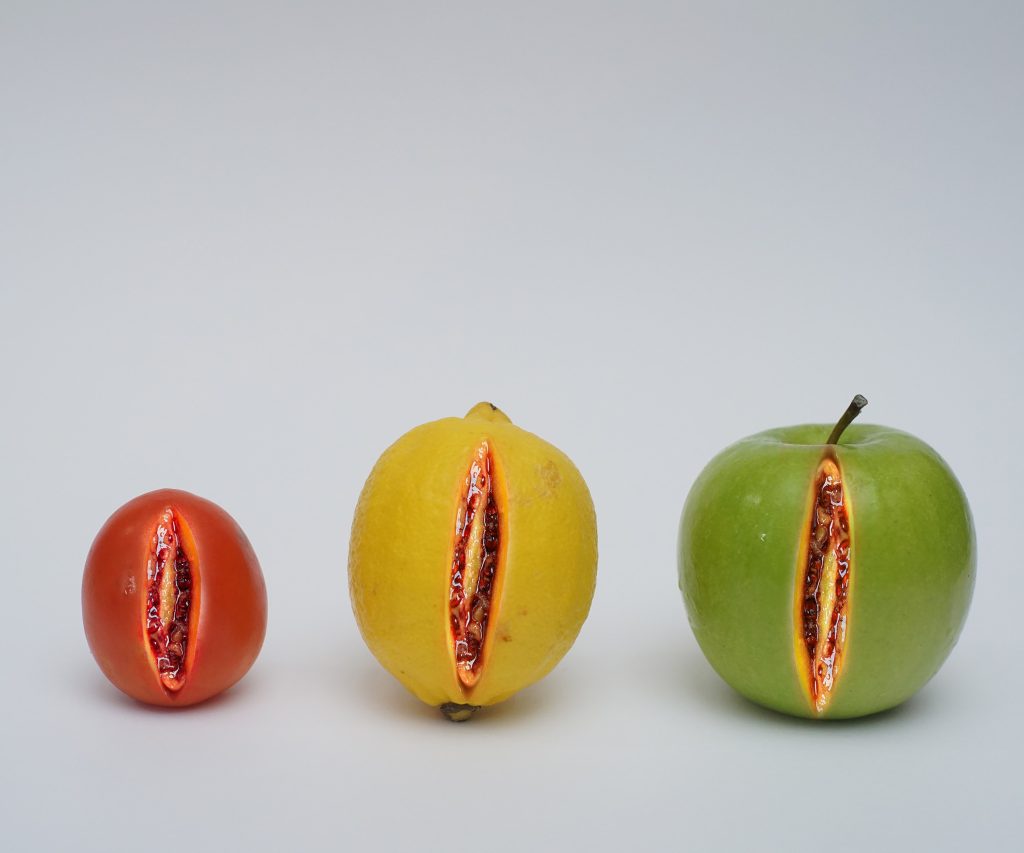 A tomato, a lemon, and an apple all sliced in the middle to resemble vaginas.
