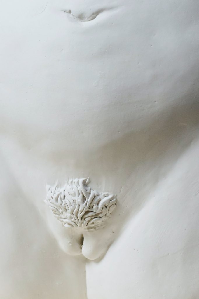 A close-up of a clay statue of a vulva with hair.