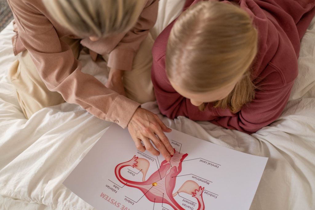 An adult and a child looking at a diagram of the female reproductive system.