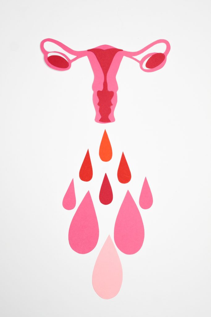 A diagram of the female reproductive system and blood drops below it.