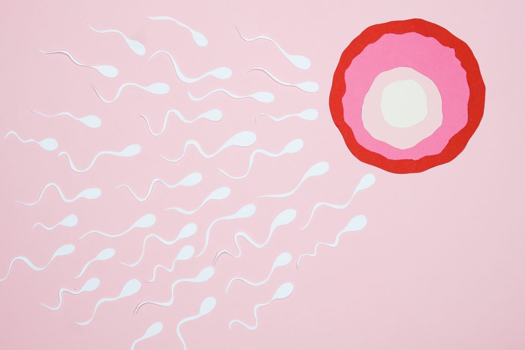 Drawn out sperm swimming toward pink circle that resembles a vagina.