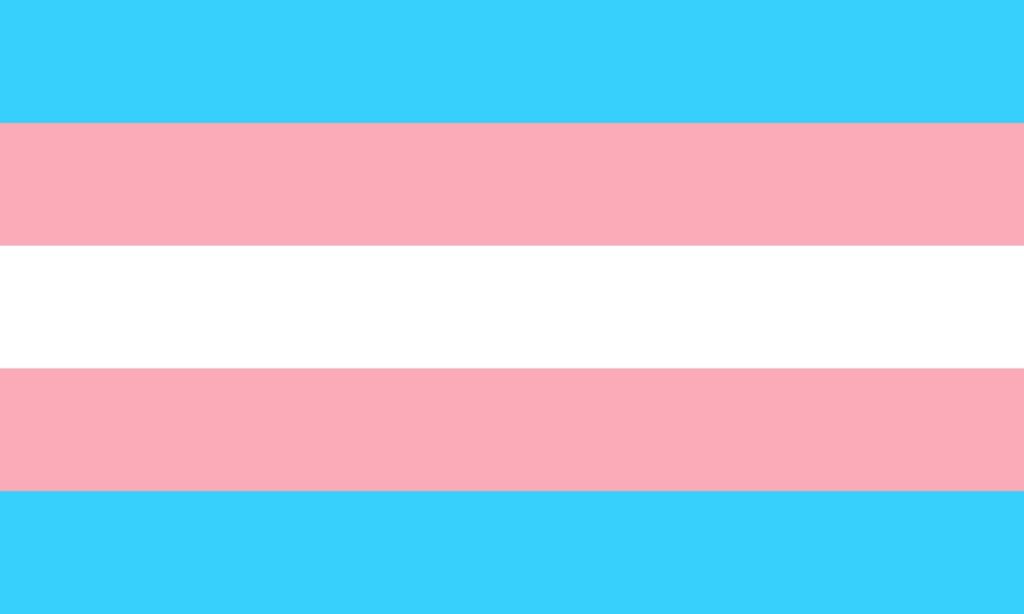 Flag with 5 stripes. From the top, light blue, light pink, white, light pink, light blue